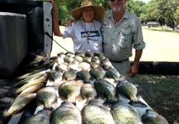 LBJ-crappie-Jul-6-17