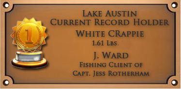 award03 copy